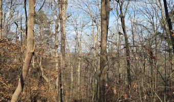 00001 Hwy 369, Ball Ground, GA 30107