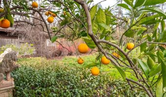 506 La Tierra Dr, Angwin, CA 94508