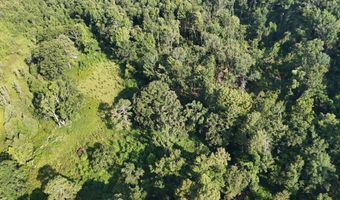 Swamp Road, Beech Island, SC 29842