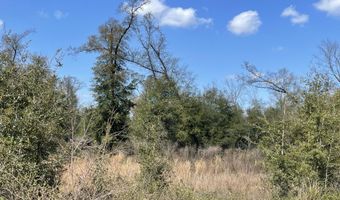 Speights Way, Bascom, FL 32423