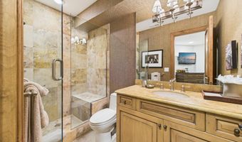 914 E Cooper Ave, Aspen, CO 81611