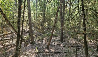 Lot 36 Wildwood Drive, Allegan, MI 49010