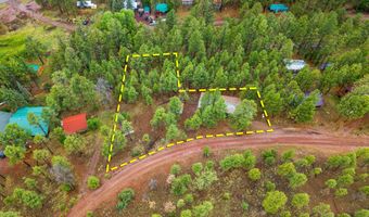 29 N 2058, Alpine, AZ 85920
