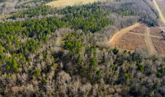 43 Acres State Highway 173, Abbeville, AL 36310