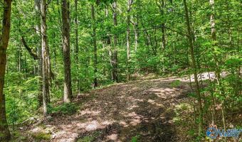 Unit # 0 Murphree Valley Road, Altoona, AL 35952