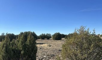 201-29 164C, Concho, AZ 85924