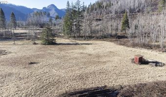 91747 BLUE RIVER RESERVOIR Rd, Blue River, OR 97413