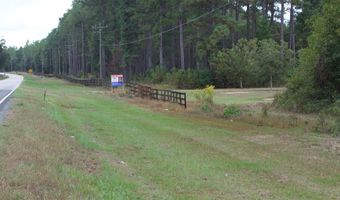 9953 Gravel Hl, Baconton, GA 31716