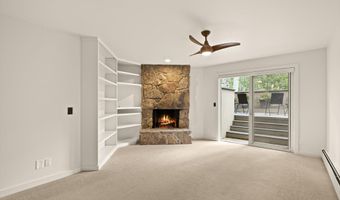 1443 Crystal Lake Rd 3E, Aspen, CO 81611