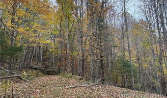 Rominger Road, Banner Elk, NC 28604
