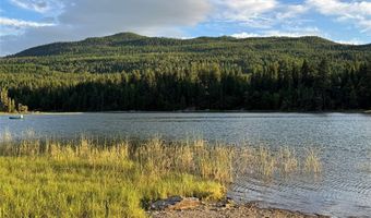 13643 Sundance Trl, Bigfork, MT 59911