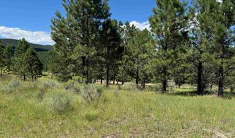 Lot 459 San Mateo, Angel Fire, NM 87710