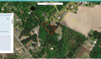 Barnes Rd, Andrews, SC 29510
