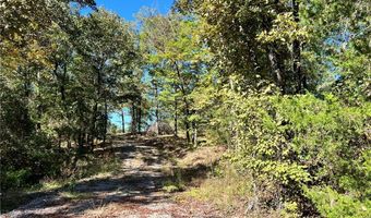1011 Granny Hollar Rd, Atkins, AR 72823
