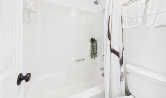 311 S Aspen St 3, Aspen, CO 81611