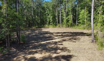 7 Milcrest Dr, Awendaw, SC 29429