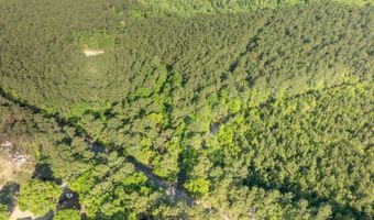 Ethridge Drive, Andrews, SC 29510