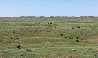 US Highway 385, Alliance, NE 69301