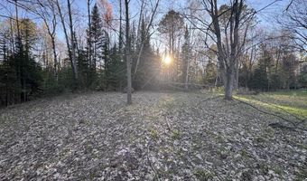 V/L Wildwood Road lot 1, Alger, MI 48610