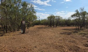 6525 US 180, Anson, TX 79501