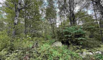 TBD Samuelson Road - Sec 15, Angora, MN 55703