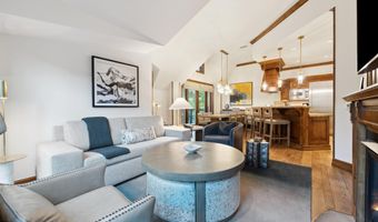 415 E Dean St. Unit 31 Week 11, Aspen, CO 81611