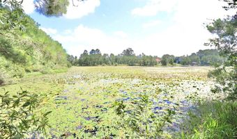 13 89 Ac Lumby Smith & Hwy 37, Adel, GA 31620