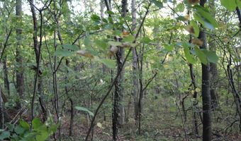 240 LN 250 Fox Lk 31, Angola, IN 46703