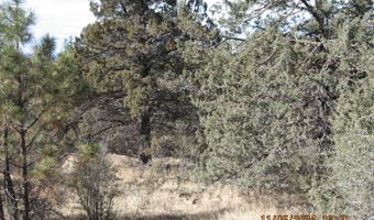 Lot 7 Warbler Drive, Bonanza, OR 97623