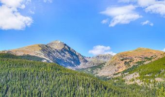 181 Red Fox Ct, Breckenridge, CO 80424