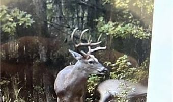 9030 HILLANDALE Dr, Auburn, AL 36830