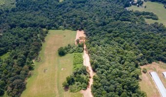 1717 County Road 1579, Baileyton, AL 35019