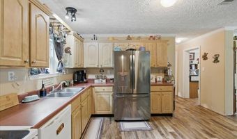 3210 50th St, Bell, FL 32619