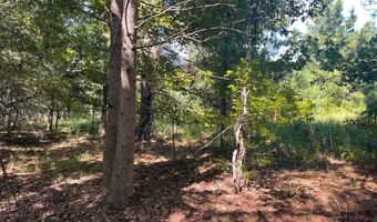 2672 Big Fork Rd, Barnwell, SC 29812