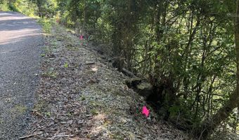 0 Dissapointment Hollow Rd, Barbourville, KY 40906