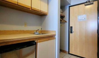 223 Hunter Ridge Rd A213, Brian Head, UT 84719