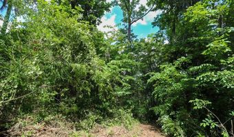 Lot 10 Booster Club Road, Bainbridge, GA 39819