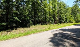 Lot 507 Lakeshore Dr, Abbeville, AL 36310