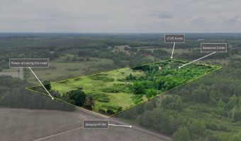 Beauty Hill Rd lot 4, Bethel Springs, TN 38315