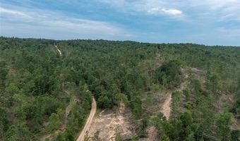 Tract 1 Hidden Valley, Annapolis, MO 63628