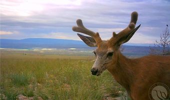 NHN Broken Trail N lot Bvr 944-19, Belfry, MT 59008