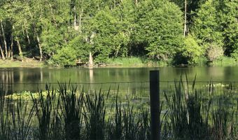 15116 NE GRANTHAM Rd, Amboy, WA 98601