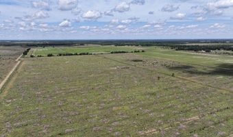 6691 County Road 763, Arcadia, FL 34266