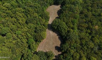 Putnam Road, Belzoni, MS 39038