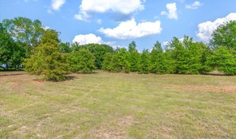 Hwy 69, Alba, TX 75410