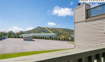 301 Pinnacle Inn Rd 3207, Beech Mountain, NC 28604