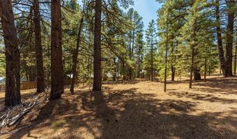 116 Pine Dr, Bayfield, CO 81122