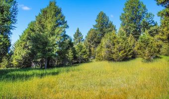 Colters Run 13, Big Sky, MT 59730