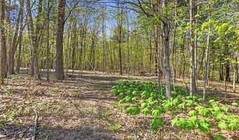 3295 Burning Tree Ln, Arcadia, MI 48412