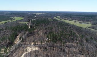 Tract 2 State Route 225, Bethel Springs, TN 38315